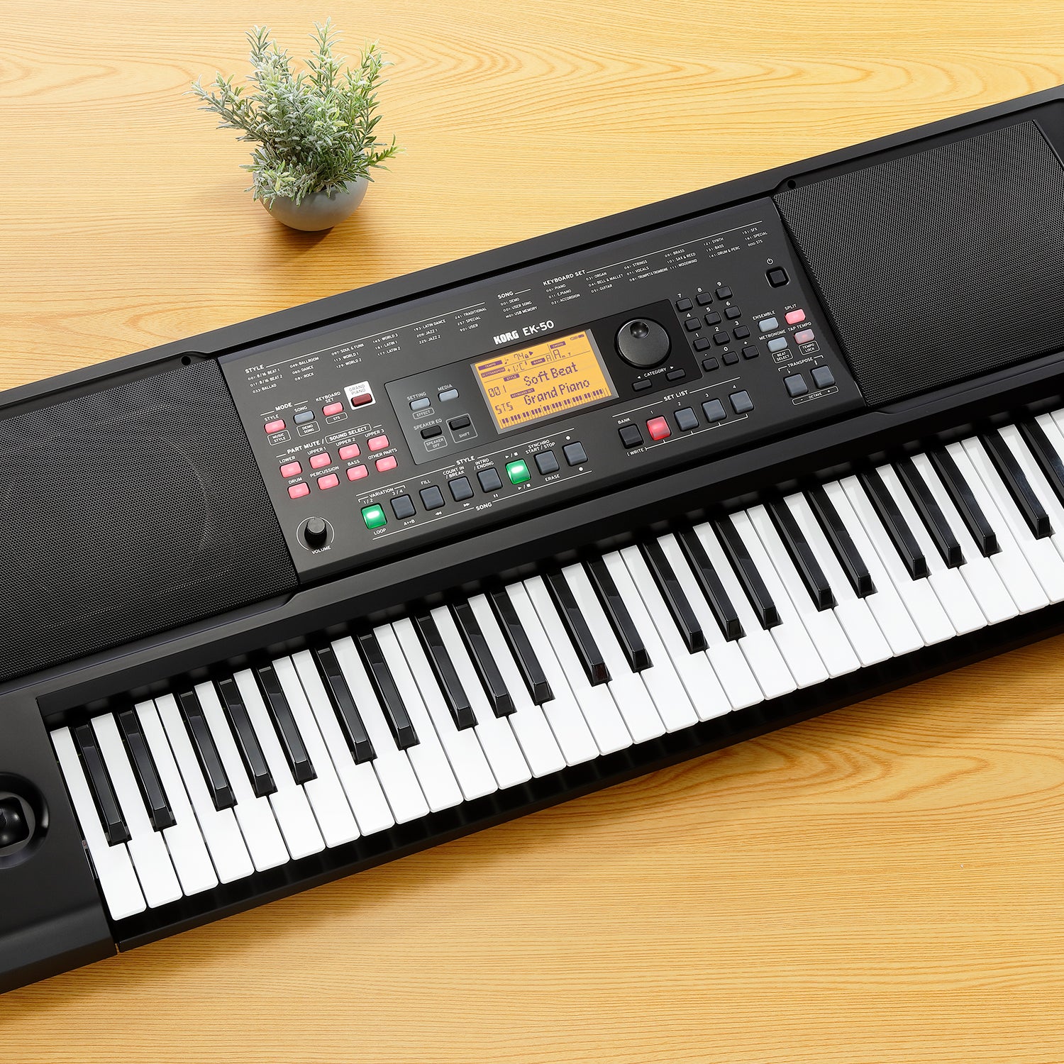 EK-50 Arranger Keyboard KORG USA Official Store